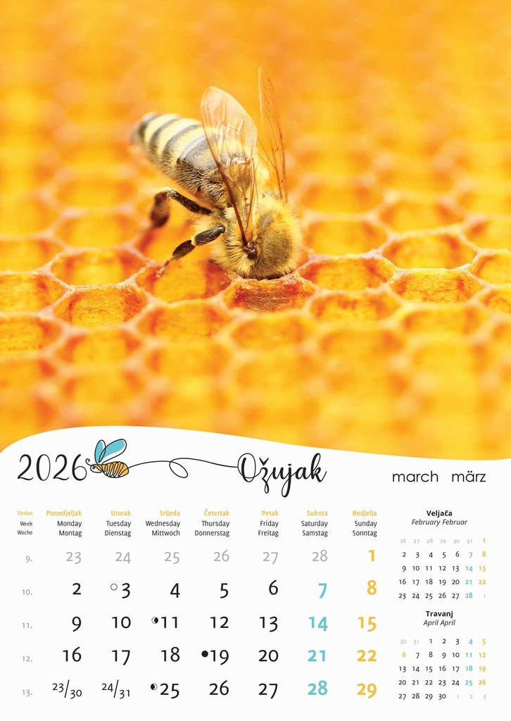 "PČELE" 13 list., dim: 30,5x50 cm, PVC vrećica, P/50, color kalendar - Slika 3