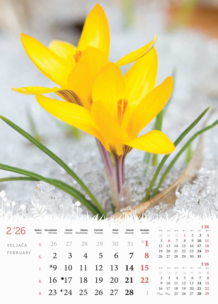 "CVIJEĆE" 13 list., dim: 24x53,5 cm, PVC vrećica, P/50, color kalendar - Slika 2