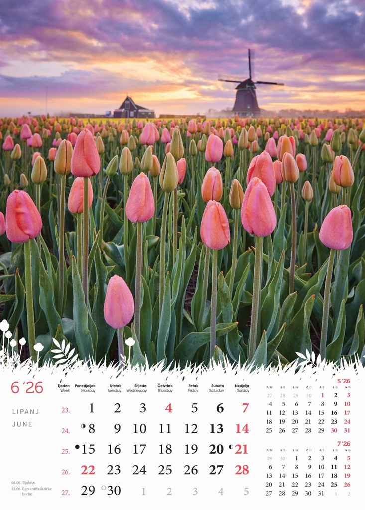 "CVIJEĆE" 13 list., dim: 24x53,5 cm, PVC vrećica, P/50, color kalendar - Slika 10